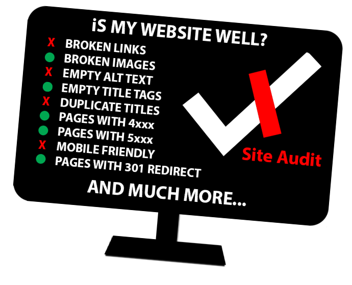 Is My Website Well Site Audit Example